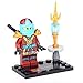 Jay Cole Nya Kai Nya Wu NINJAGO NINJA 8 Minifigures Building Bricks lEGO Toys