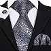 Barry.Wang Black and Grey Tie Set Silk Neckties Formal