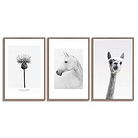 3 Piece Framed Canvas Wall Art Cute Giraffe Canvas Prints Home Artwork Decoration for Living Room,Bedroom - 16