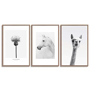 signwin 3 Piece Framed Canvas Wall Art Cute...