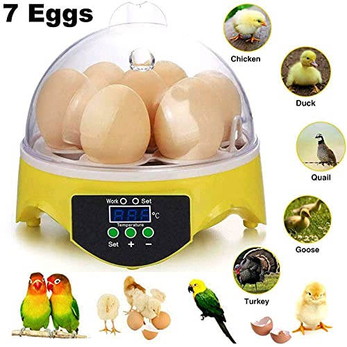 Nienyu Mini-Ei-Inkubator, 7-Loch-Micro-Inkubator mit Temperaturfeuchtigkeitssteuerung, tragbarer Zuhause-Inkubator für… – Bild 5