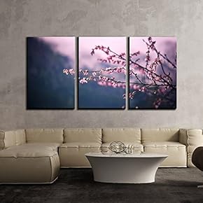 3 Piece Canvas Wall Art - Closeup of Cherry Blossom Branch - Modern Home Art Stretched and Framed Ready to Hang - 16"x24"x3 Panels