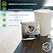 Elev8 Hemp Tea (Black Tea)