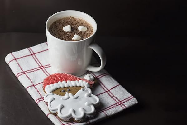 R.M. PALMER HOT CHOCOLATE BOMB | 1.25 OZ