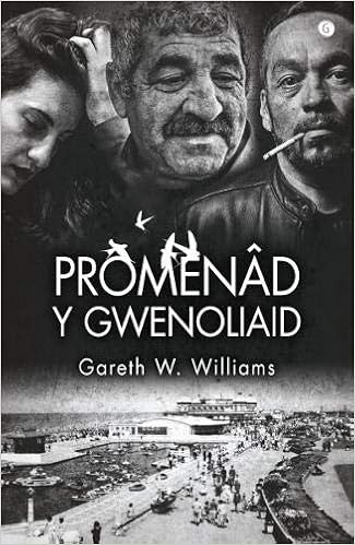 Promenad Y Gwenoliaid Amazon Co Uk Gareth W Williams Books
