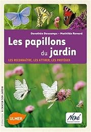Les  papillons du jardin