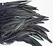 HOMELEX Gothic Victorian Black Natural Feather Collar Choker Halloween (Collar Choker-01