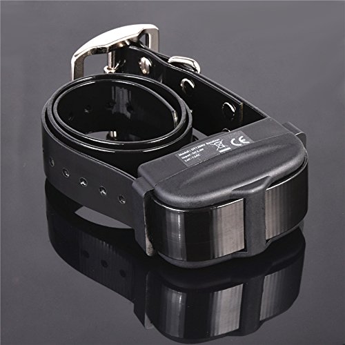 pet resolve dog training collar with remote