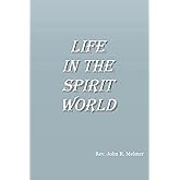 life in the spirit world