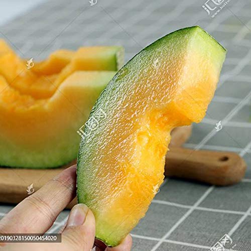 HONIC 30 Piezas de frutales Japón Bonsai Melón Verde Original ...