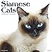 2016 Siamese Cats Wall Calendar by 