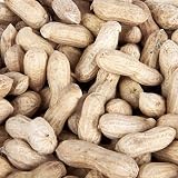 Garden Ting Premium Peanuts In Shell Monkey Nuts 3L Tub view 3