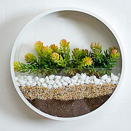 RRSHUN Round Glass Wall Planter, Wall Vase Planter Circle Flower Metal Iron Indoor Vertical Container Wall Hanging Home Dec