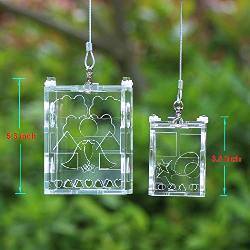 2 KINTOR+Parrot+Creative+Foraging+4+8x3+6x2+6inch