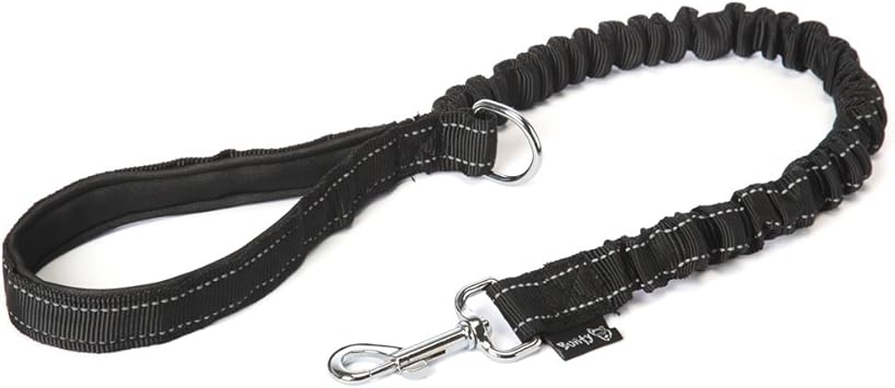 anti shock dog leash