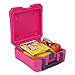 Delicious Agent Insulated Lunch Box with Snap in Ice Pack, Dishwasher Safe Pink