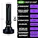 Black Light UV Flashlight , Ultraviolet Lights 1# Best 100 LED Pet Urine Detector 30FT Flood Effect Scorpion Flashlights (AA Batteries Included)