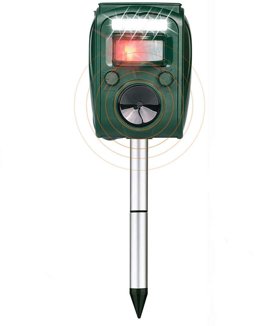 Vivid Arts Real Life Blue Tit Home or Garden Decoration (WBC-BT05-F)