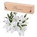 Artificial flowers, Meiwo 5pcs Artificial Lillies with 3 Buds, Full Bloom Artificial Latex Real Touch Flowers for Home Decor, Wedding, Parties, Offices, Restaurants(White)