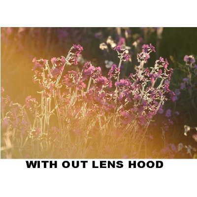 PLR Optics 40.5MM Lens Hood For The Olympus OM-D E-M5, E-M1, E-M10, PEN-E-PL3, PEN-E-PL5, E-PL6, E-PL7, E-P5, E-PM1, E-PM2, PEN E-P3, PEN E-P2, PEN E-PL1, E-PL2, GX1 Digital SLR Cameras Which Has The ZUIKO Digital ED 14-42mm f3.5 - 5.6 "Micro" 4/3 Zoom Ol