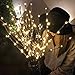 3 Pcs Warm White 20 LED Lighted Twig Branches Battery Operated Artificial Tree Lights Willow Branch Lamp for Home Decor Holiday Party Decoration (1)