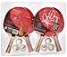 Viper Table Tennis Accessory Set, 4 Rackets/Paddles and 6 Balls