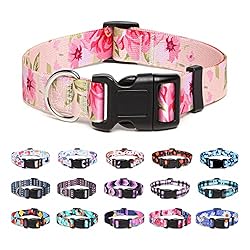 Suredoo Adjustable Dog Collar with Patterns, Ultra