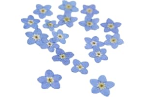 XIMKEE 50pcs Don't Forget Me Nature Real Dried Pressed Flowers Leaves Pressed Flowers Leaves Mixed Pack Scrapbooking Embellishments for DIY Resin Ornament Crafts Candle Making (Blue)