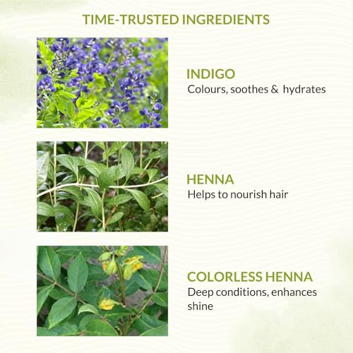 INDUS VALLEY Bio Organic Natural Henna Hair Color Medium Brown 100gm| 100% Gray Hair Coverage And Long Lasting Hair Dye | Vegan and Cruelty-Free