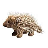 Douglas Percy Porcupine