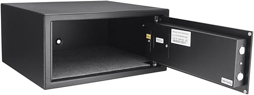 BARSKA Biometric Safe