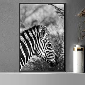 signwin Framed Canvas Wall Art Duotone Zebra Animals...