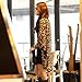 Vechell Women's Sexy Leopard Chiffon Batwing Sleeve Cardigan Tops