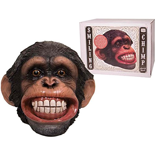 貯まる 貯金 置物 チンパンジー貯金箱 サル さる 猿 オブジェ キャラクター 500円玉 リアル B0106td3sk 置物オブジェ 今年の新作から定番まで