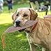 GrayCell Dog Training Canvas Toy, Durable Bite Tug of War Interactive Play Toy for Medium Large Dogs