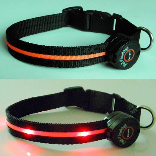 Dog Collar with Orange LED Lights, Multi-Function, Medium