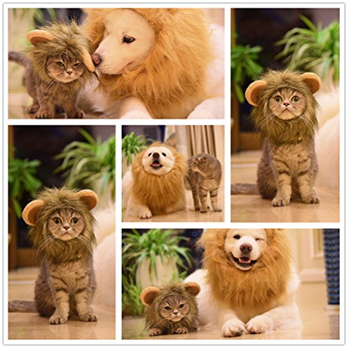 CPPSLEE Lion Mane Wig Costume for Cat (Gray) - Thumbnail 2