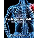 Indestructible Shoulders (The Indestructible Body Book 4)