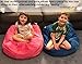 Large Stuffed Animal Storage Bean Bag 