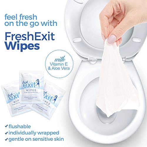 FreshExit 60 Individually Wrapped Flushable Wipes for Adults Travel