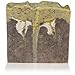 Jewelweed Anti Itch Soap - Natural Poison Ivy Wash - One Large 5.5 Oz. Bar - Organic Palm Oil Soap - Shea Butter - Olive Oil - Coconut Oil - Handmade Cold Process - Homeopathic