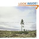 The Oldest Living Things in the World