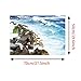 Wall Sticker, Hatop 3D Floor/Wall Sticker Removable Mural Decals Vinyl Art Living Room Decors (A)