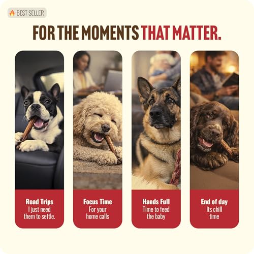 Natural Farm Extra-Thick 12-Inch Beef Bully Sticks Dog Chews (10-Pack) - Odor-Free Dental Treats for Dogs