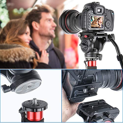 3 V501+Olympus+Panasonic+Tripods+Mounting