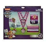 Paw Patrol Assorted Accessory Box Set