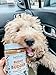 Pumpkin Pup Buddy BUDDER, 100% Natural Dog Peanut Butter, Healthy Peanut Butter Dog Treats, Made in USA, (17oz Jars)