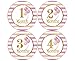 Baby Girl Monthly Milestone Stickers - (Set of 24) - Premium Box Included with Baby Stickers for Baby Shower or Scrapbook Keepsake