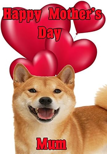 shiba inu day