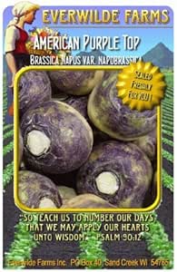 Amazon.com : Rutabaga Seeds - 'American Purple Top' Vegetable Seed